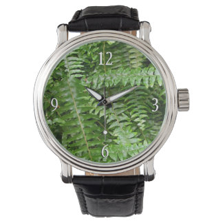 Fern Fronds I Green Nature Watch