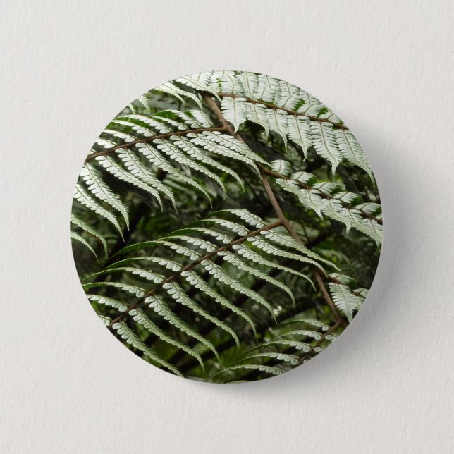 Fern Fronds II Dark Green Nature 6 Cm Round Badge (Front)