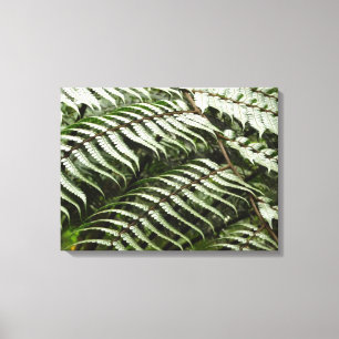 Fern Fronds II Dark Green Nature Canvas Print