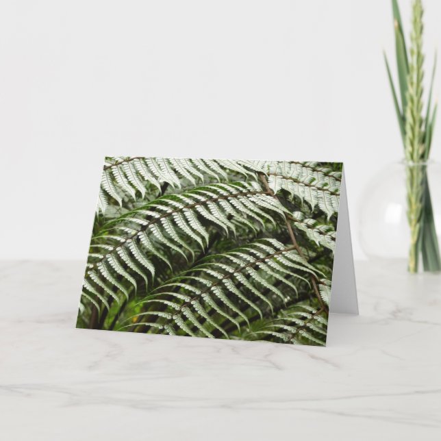 Fern Fronds II Dark Green Nature Card (Front)