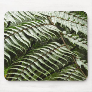 Fern Fronds II Dark Green Nature Mouse Pad