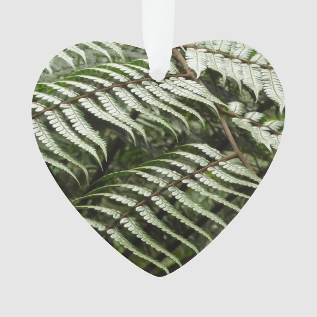 Fern Fronds II Dark Green Nature Ornament (Front)
