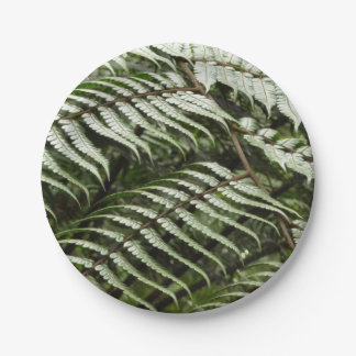 Fern Fronds II Dark Green Nature Paper Plate