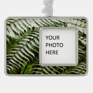 Fern Fronds II Dark Green Nature Silver Plated Framed Ornament