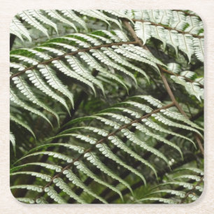 Fern Fronds II Dark Green Nature Square Paper Coaster