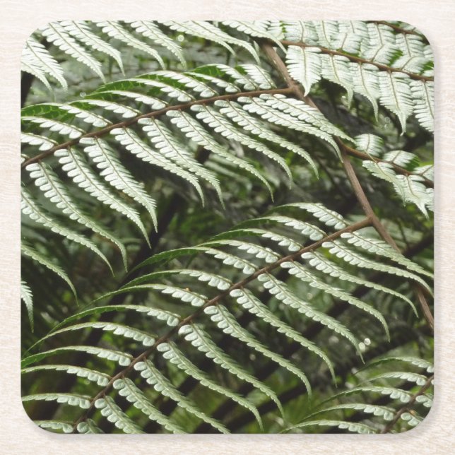 Fern Fronds II Dark Green Nature Square Paper Coaster (Front)