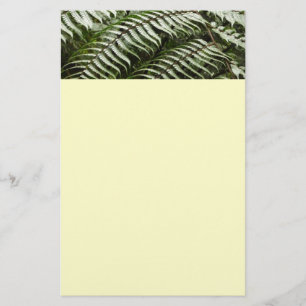 Fern Fronds II Dark Green Nature Stationery