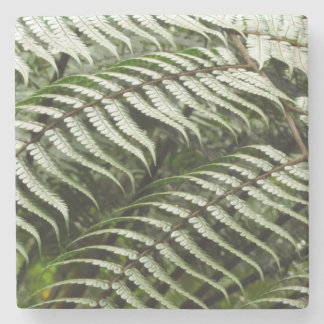 Fern Fronds II Dark Green Nature Stone Coaster