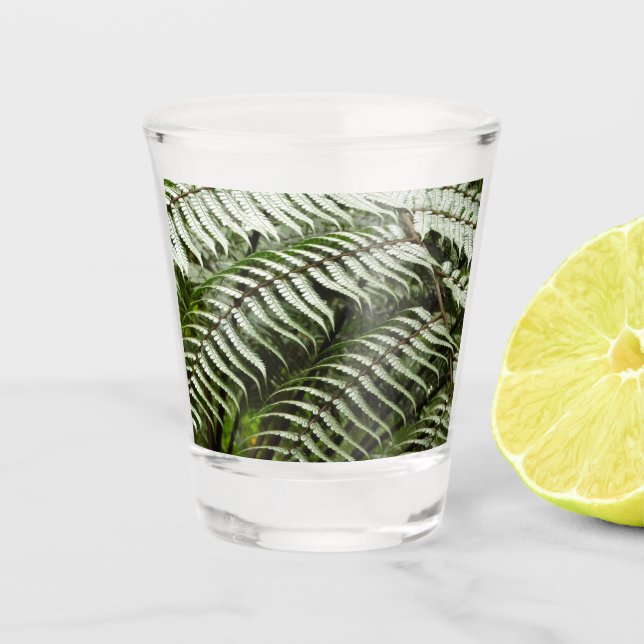 Fern Fronds II Green Nature Shot Glass (Front)