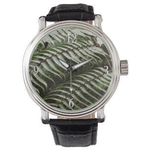 Fern Fronds II Green Nature Watch