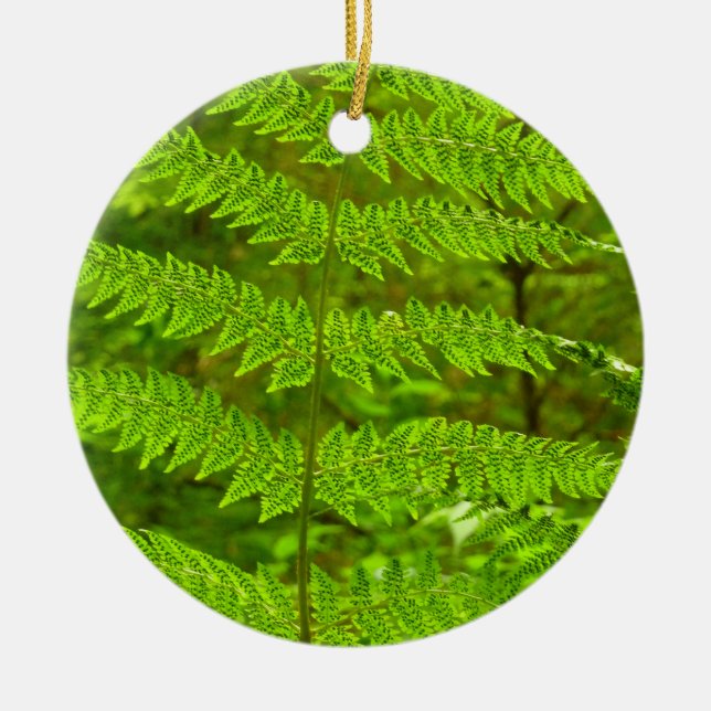 Fern Fronds III Green Nature Botanical Ceramic Tree Decoration (Front)