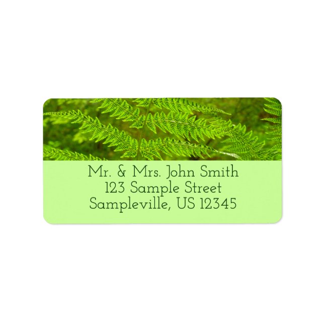 Fern Fronds III Green Nature Botanical Label (Front)