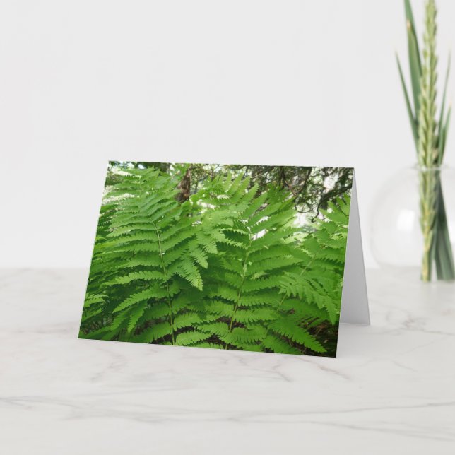 Fern Fronds IV Green Nature Botanical Card (Front)