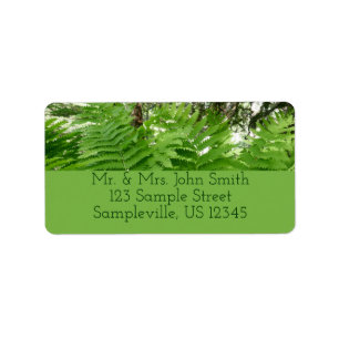 Fern Fronds IV Green Nature Botanical Label