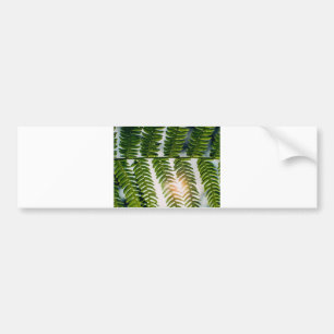fern golly bumper sticker