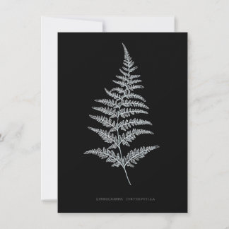 Fern - Gymnogramma Chrysophylla. X-ray effect – 01 Card