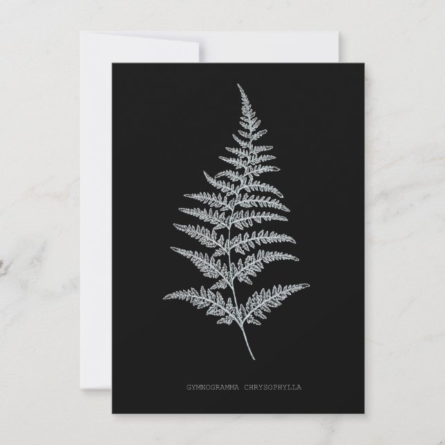 Fern - Gymnogramma Chrysophylla. X-ray effect – 01 Card (Front)