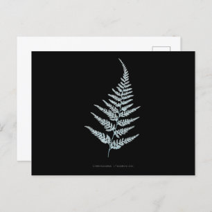 Fern - Gymnogramma L’herminieri. X-ray effect – 05 Postcard