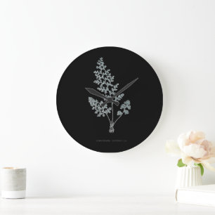 Fern - Gymnogramma Leptophylla - X-ray effect – 04 Large Clock