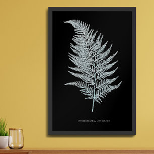 Fern - Gymnogramma Ochracea - X-ray effect - 02 Canvas Print