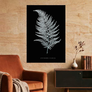 Fern - Gymnogramma Ochracea - X-ray effect - 02 Poster