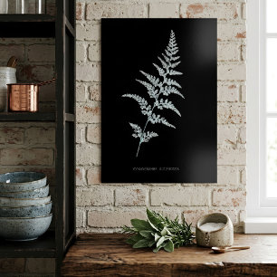 Fern - Gymnogramma Sulphurea - X-ray effect - 03 Poster