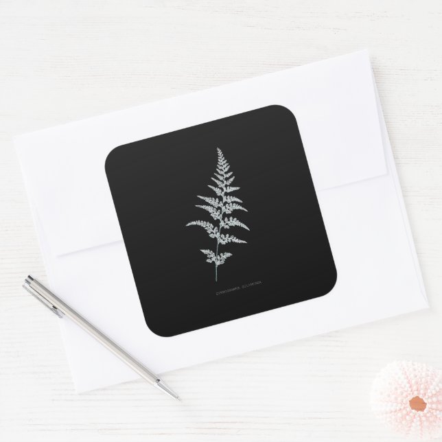 Fern - Gymnogramma Sulphurea - X-ray effect - 03 Square Sticker (Envelope)