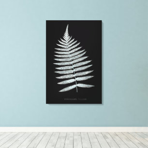 Fern - Gymnogramma Villosa - X-ray effect - 06 Canvas Print