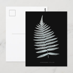 Fern - Gymnogramma Villosa - X-ray effect - 06 Postcard