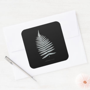 Fern - Gymnogramma Villosa - X-ray effect - 06 Square Sticker