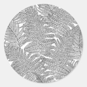 Fern in black and white classic round sticker