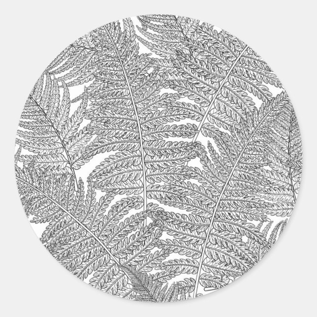 Fern in black and white classic round sticker (Front)