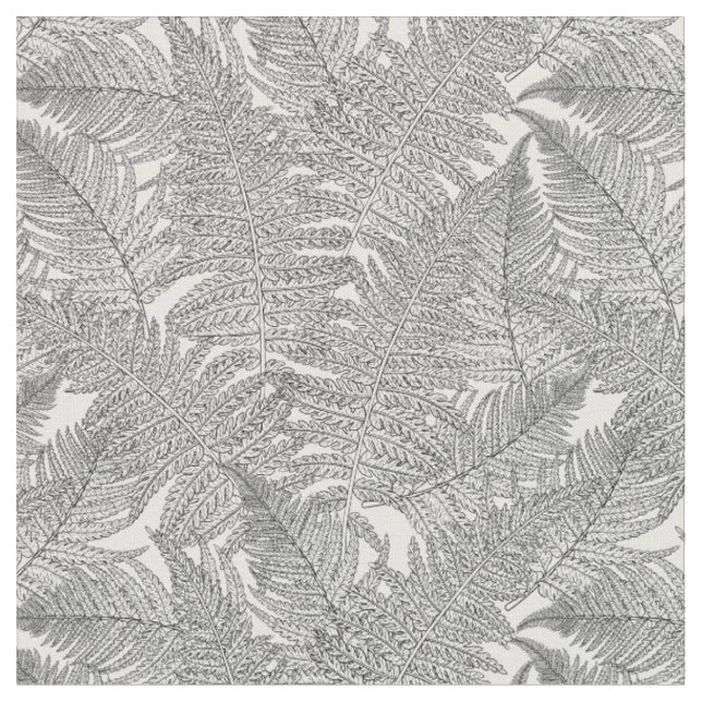 Fern in black and white fabric (Close Up)