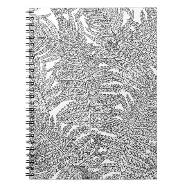 Fern in black and white notebook (Front)