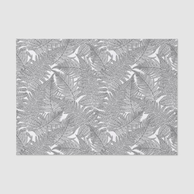 Fern in black and white tissue paper (Front)