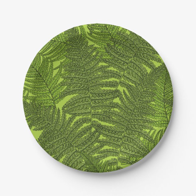Fern in green paper plate (Front)
