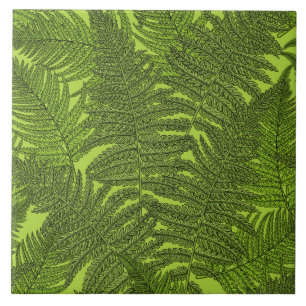 Fern in green tile
