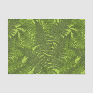 Fern in green tissue paper