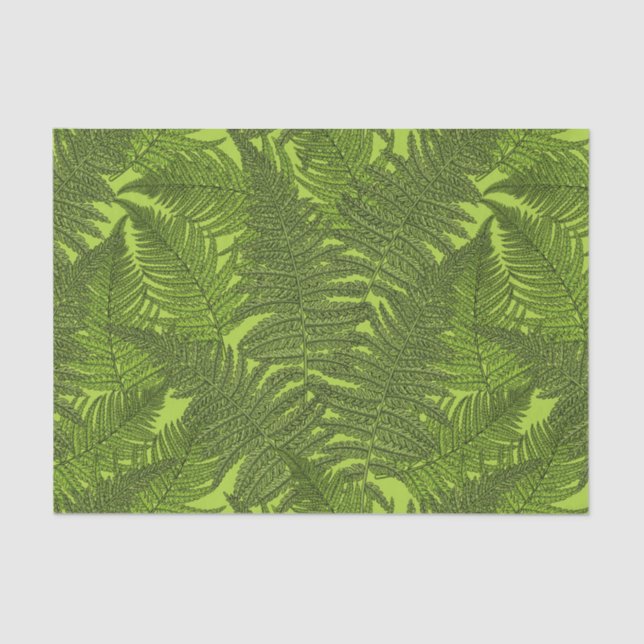 Fern in green tissue paper (Front)