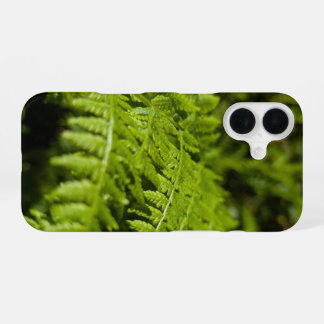 fern iPhone 16 case