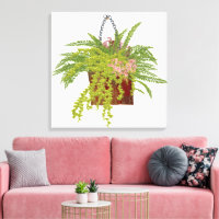 Fern Ivy Hanging Plant Botanical Illustration Art