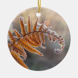 Fern Leaf with Icy Frost in a Cold Winter Nature - Ceramic Tree Decoration