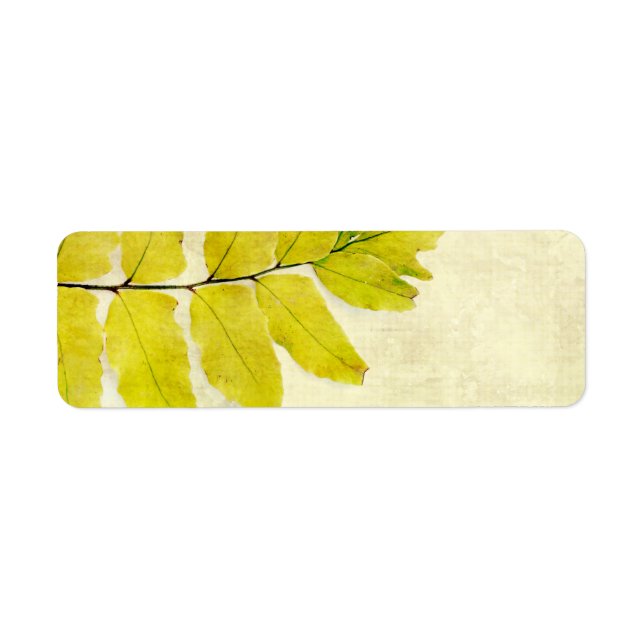 Fern leaves grunge design (Front)