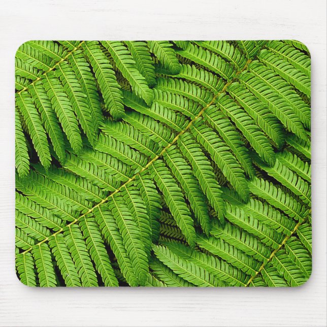 Fern Leaves Mouse Pad (Front)