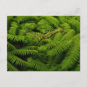 Fern Leaves Portrait Holiday Postcard