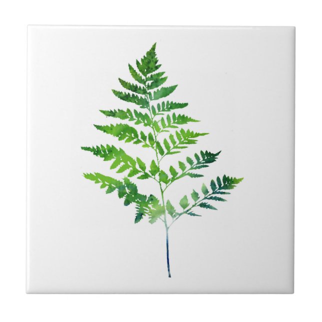 Fern Leaves Tile (Front)