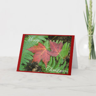 Fern & Maple Leaves Christmas Card