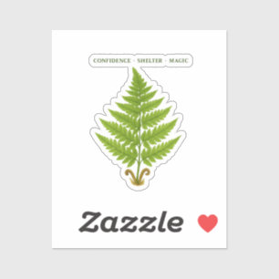 Fern Meaning