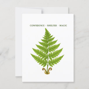 Fern Meaning Postcard