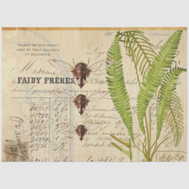 Fern Moth Apothecary Decoupage Tissue Paper (Front)
